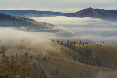 Panoramic view of landscape against sky