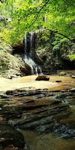 Scenic view of waterfall in forest