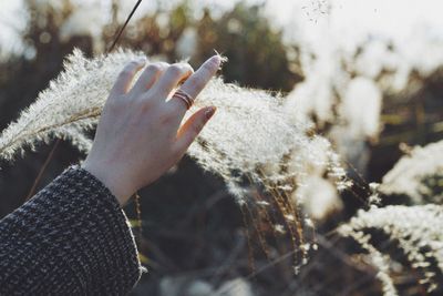 Close-up of hand holding snow