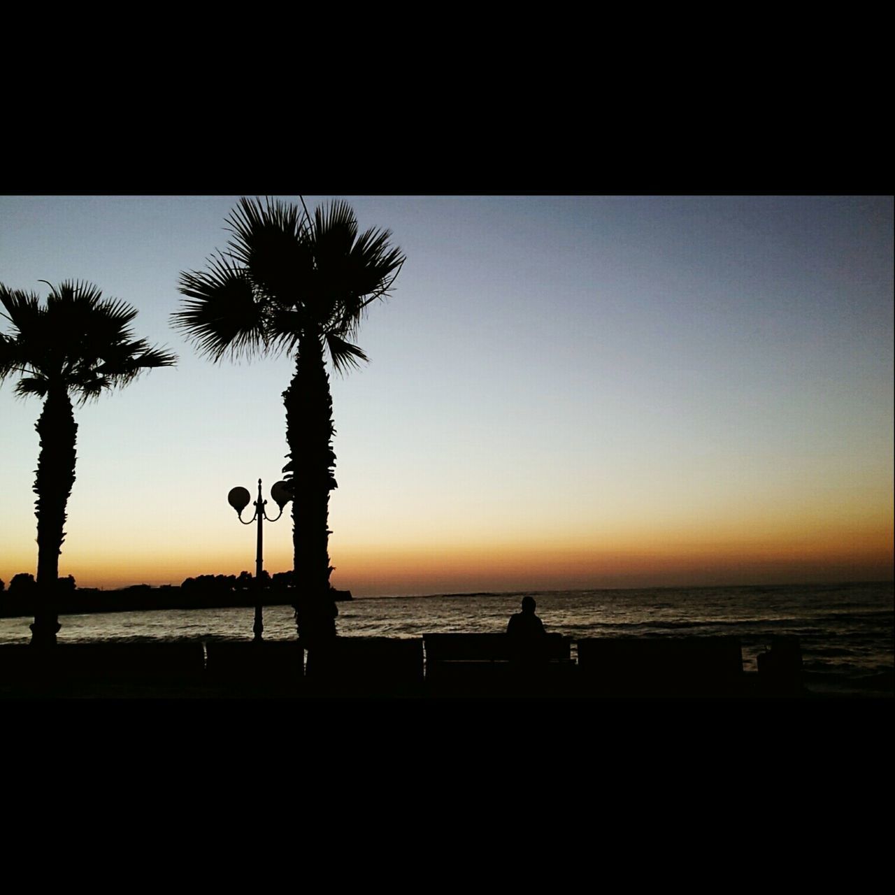 silhouette, sunset, sea, horizon over water, palm tree, water, scenics, beauty in nature, tranquil scene, tranquility, orange color, beach, clear sky, copy space, nature, tree, sky, idyllic, outline, shore