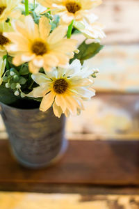 Close-up of potted plant on table