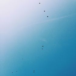 Low angle view of birds flying over white background