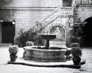 Statue against potted plants