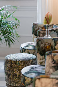 Close-up of potted plant on table