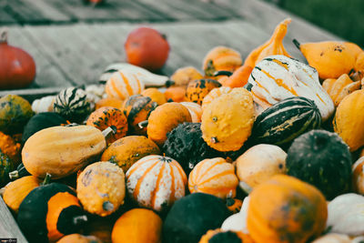 Close-up of pumpkins