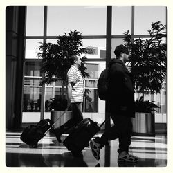 Rear view of people walking on palm tree