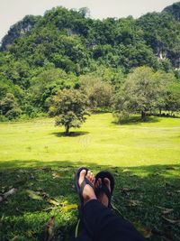 Low section of man sitting on grass at park