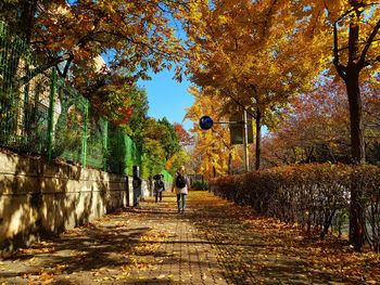 Rear view of people walking on footpath during autumn