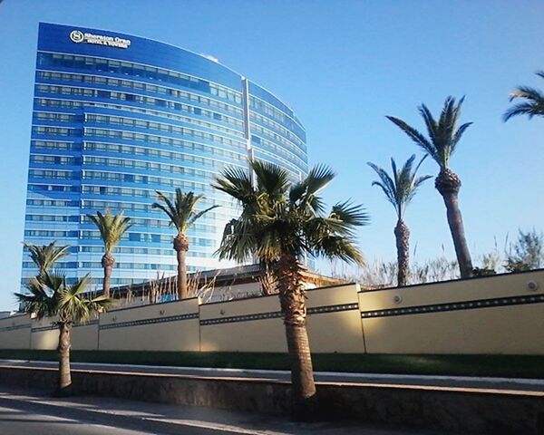 palm tree, tree, architecture, built structure, clear sky, sky, modern, building exterior, skyscraper, growth, day, no people, city, outdoors, nature, futuristic