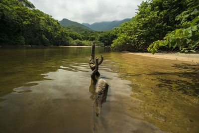 View of a lake