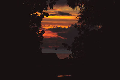 Silhouette trees against sky during sunset