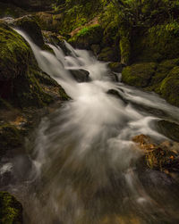 Stream flowing through rocks in forest