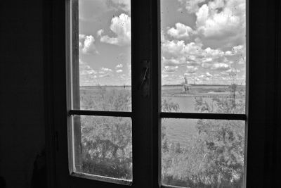 Trees seen through window