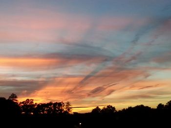 Silhouette of trees at sunset