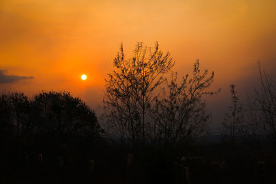 Silhouette plants against romantic sky at sunset