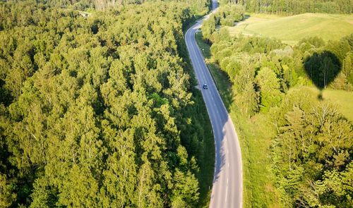 High angle view of road amidst trees