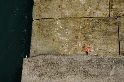 High angle view of woman walking on wall