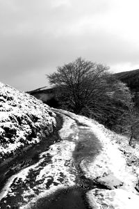 Bare trees on snow covered land against sky