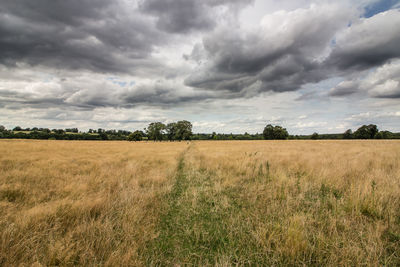 Scenic view of field against cloudy sky