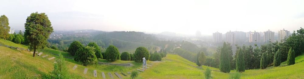 Panoramic view of trees on landscape against sky