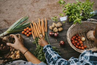 High angle view of female and male with organic vegetables at table