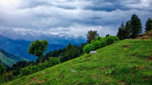 Scenic view of grassy landscape against cloudy sky