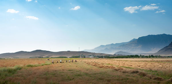 Scenic view of landscape against sky