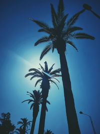 Low angle view of palm tree against clear blue sky