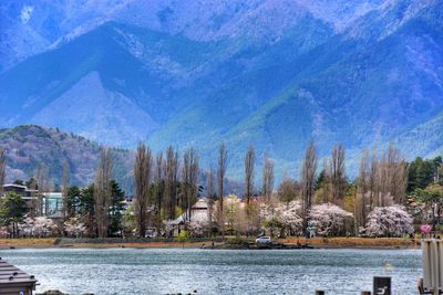 Scenic view of lake by trees against sky