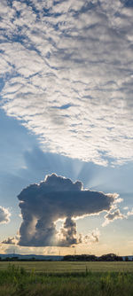 Scenic view of field against sky during sunset