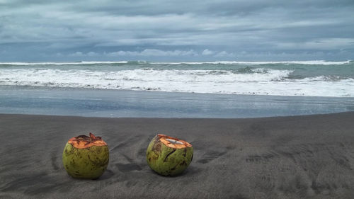 Close-up of fruits on beach