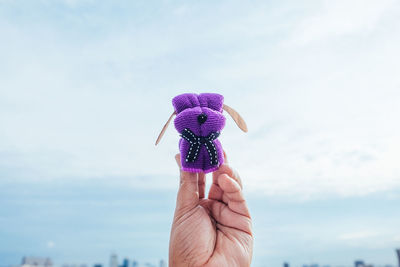 Close-up of hand holding purple flower against sky
