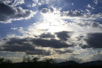 Low angle view of silhouette trees against sky