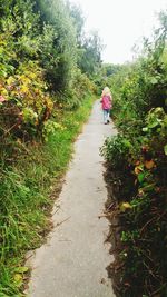 Rear view of woman walking on road amidst plants