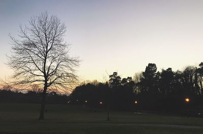 Silhouette trees against sky during sunset