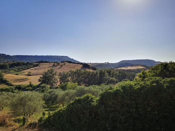 Scenic view of landscape against clear sky