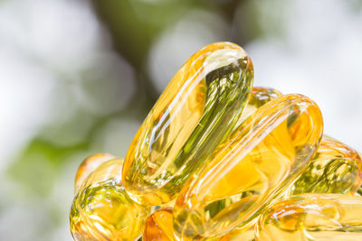 Close-up of fish oil