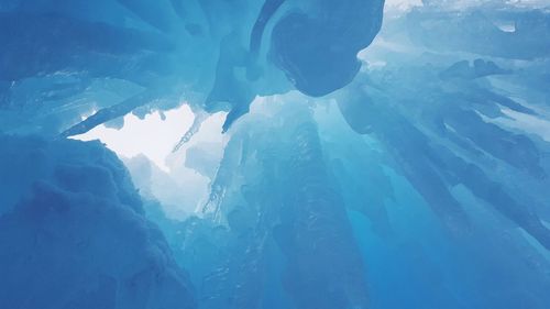 People swimming in sea