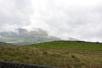 Scenic view of field against sky