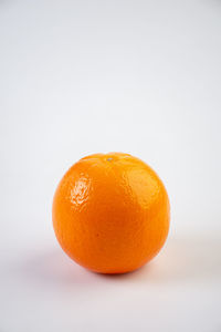 Close-up of orange fruit against white background