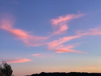 Low angle view of silhouette trees against sky at sunset