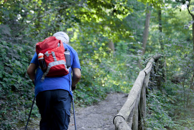 Rear view of man hiking in forest