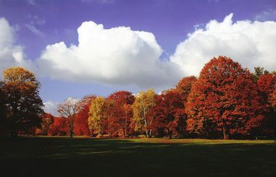 Scenic view of landscape against cloudy sky