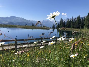 Scenic view of lake against cloudy sky