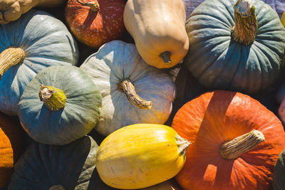 High angle view of pumpkins in market