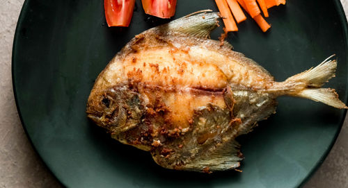 High angle view of seafood in plate