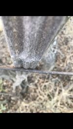 Close-up of frozen water