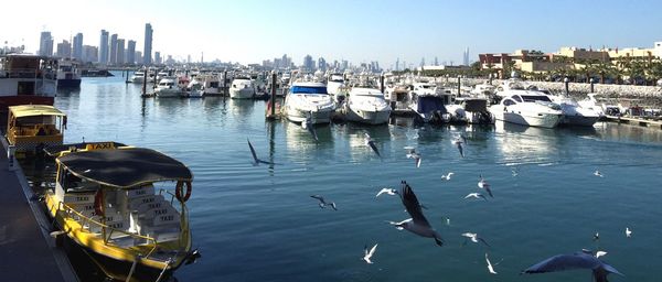 Boats in harbor