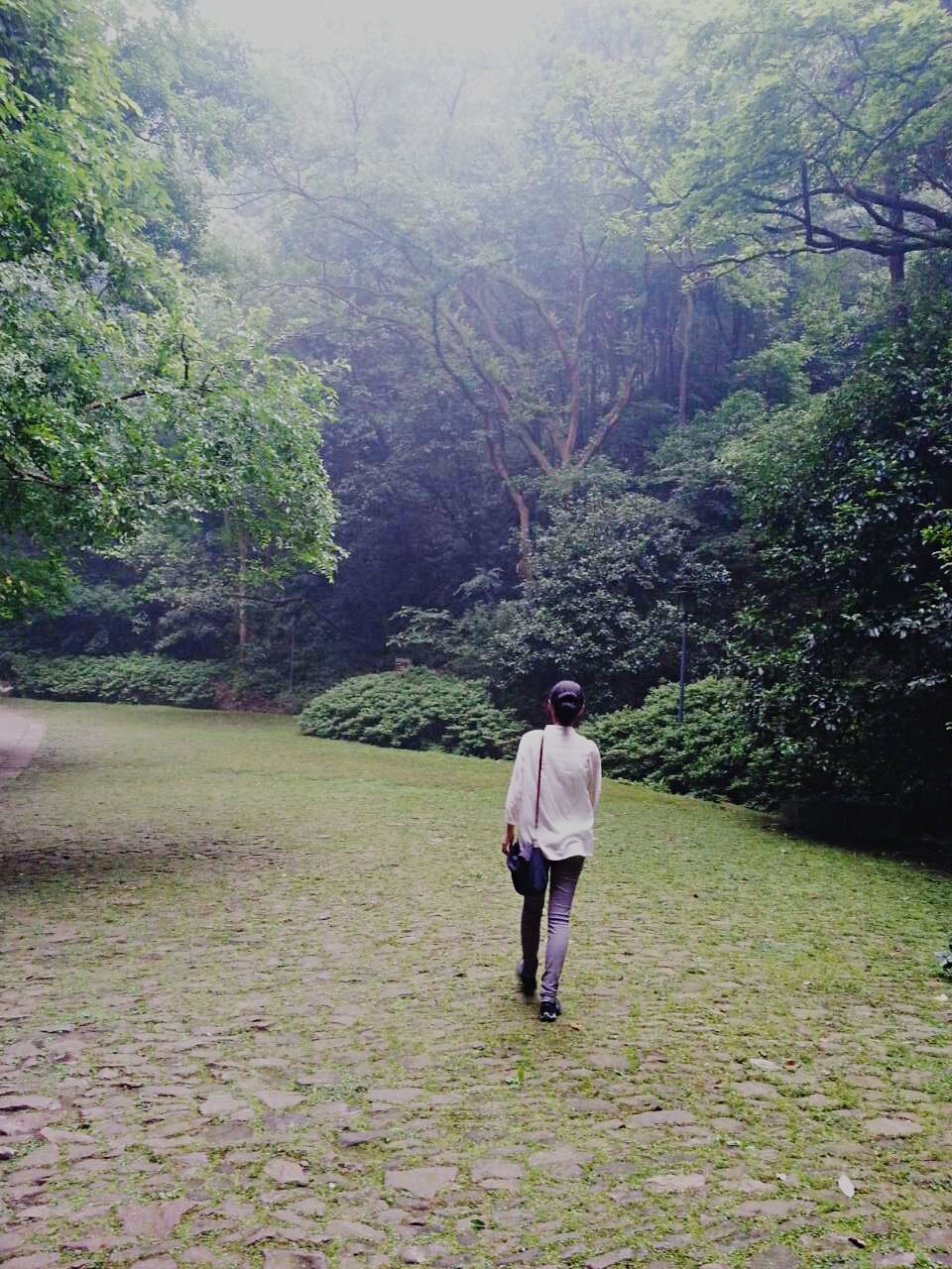 tree, rear view, full length, lifestyles, casual clothing, leisure activity, walking, growth, tranquility, nature, forest, tranquil scene, beauty in nature, person, standing, green color, day, grass