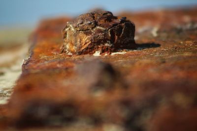 Close-up of rusty metal on rock